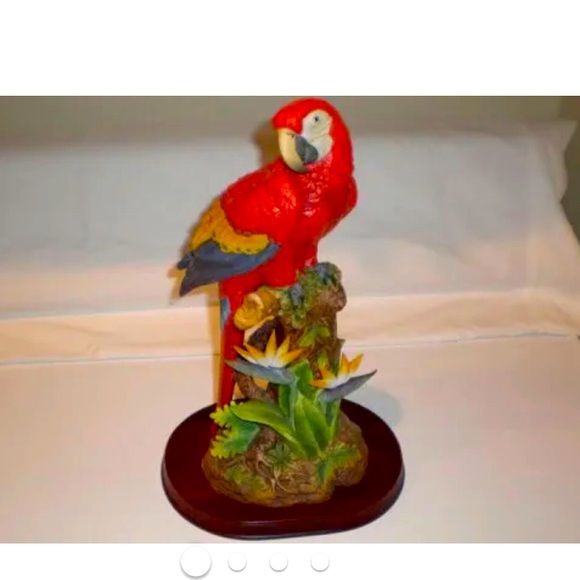 Red Macaw - Picture 2 of 3